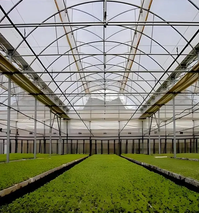 Blog de verre à effet de serre et téléchargement