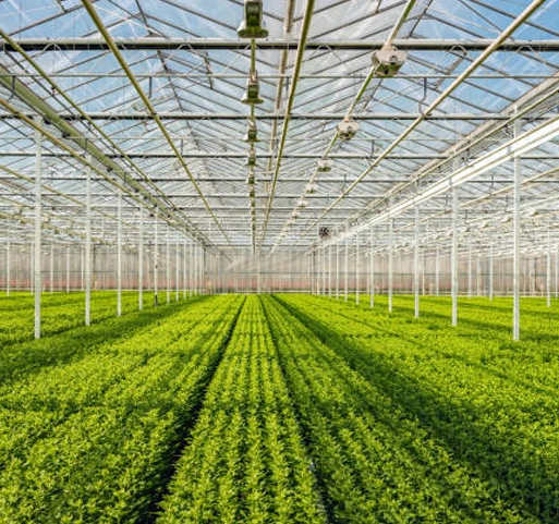 Panneaux de verre à effet de serre