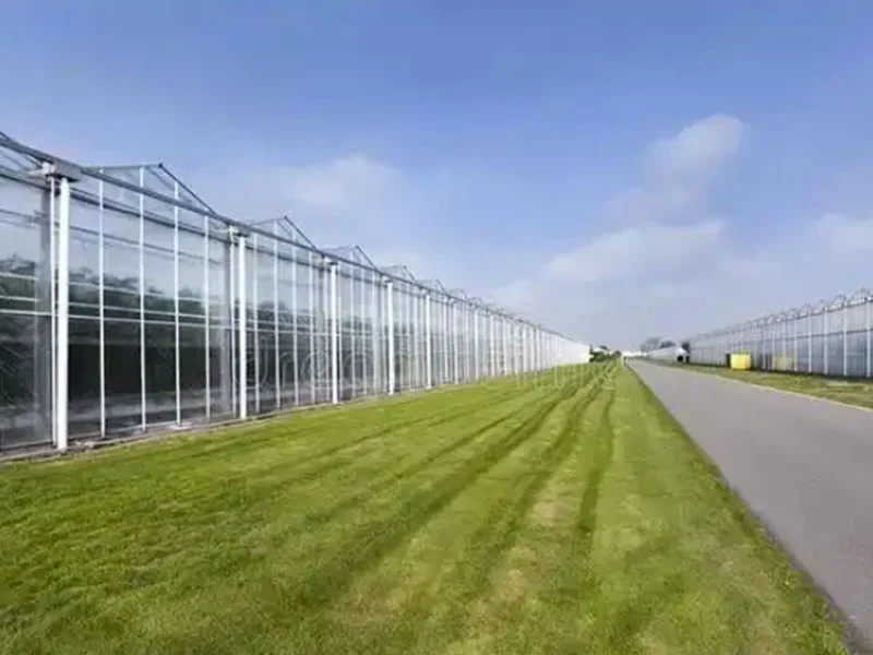 Analyse des avantages des serres de verre intelligentes